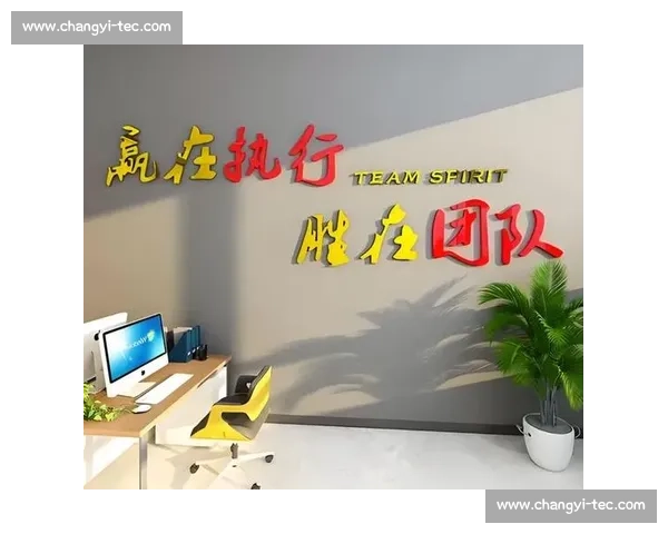 提升体育团队协作与执行力实现整体效率最大化的策略研究