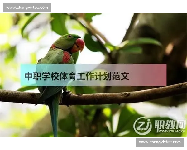 体育竞技表现全面解析：从技术能力到心理素质的综合评估
